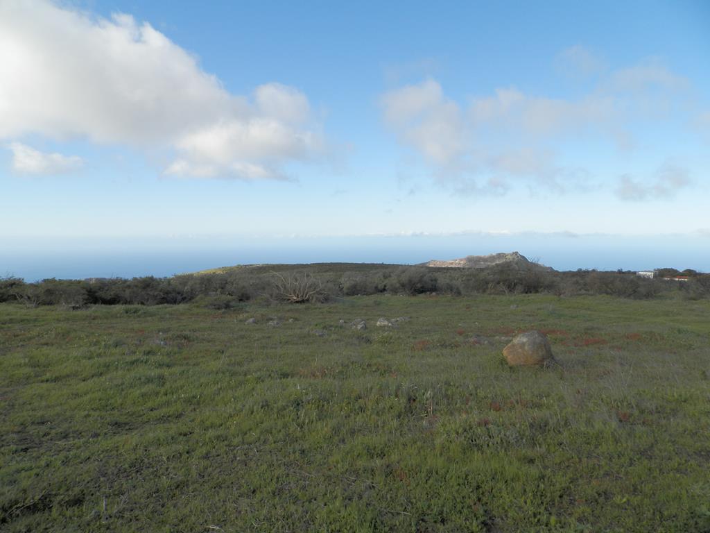 Wanderung von Arure nach  El Cercado, Calera